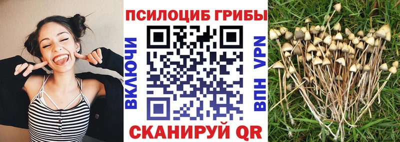 это какой сайт  Барнаул  Галлюциногенные грибы мицелий  OMG рабочий сайт 